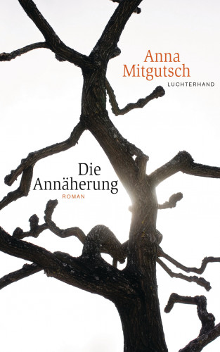 Anna Mitgutsch: Die Annäherung