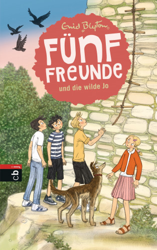 Enid Blyton: Fünf Freunde und die wilde Jo