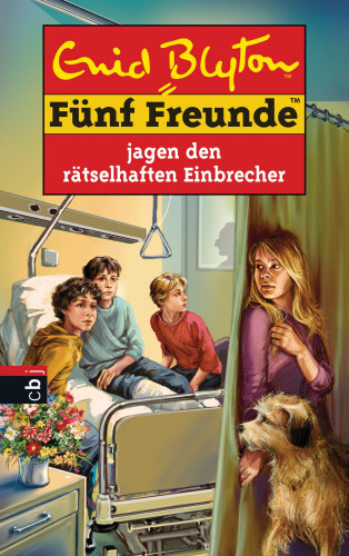 Enid Blyton: Fünf Freunde jagen den rätselhaften Einbrecher