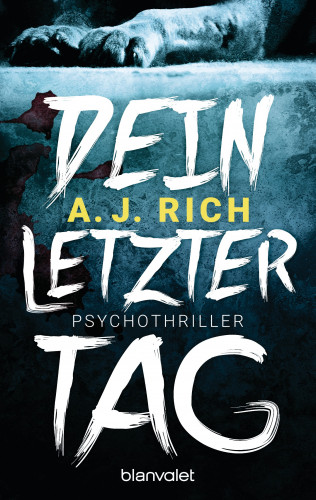 A. J. Rich: Dein letzter Tag