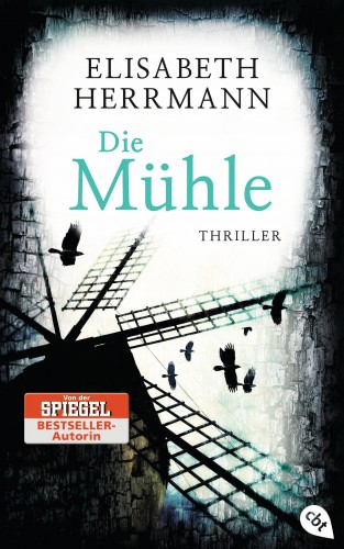 Elisabeth Herrmann: Die Mühle