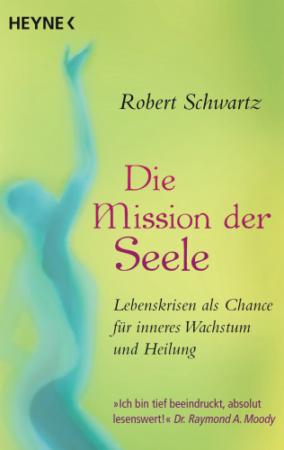 Robert Schwartz: Die Mission der Seele