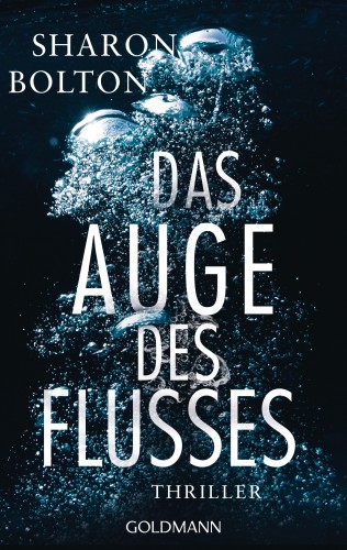 Sharon Bolton: Das Auge des Flusses