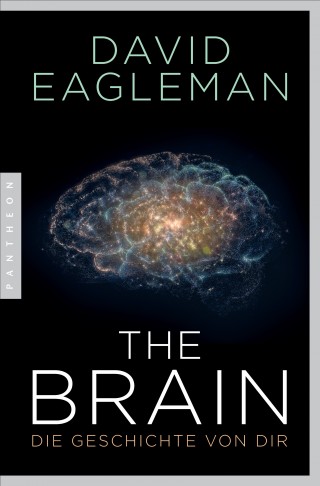 David Eagleman: The Brain