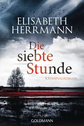 Elisabeth Herrmann: Die siebte Stunde