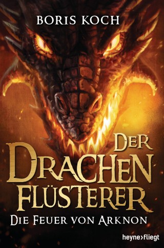 Boris Koch: Der Drachenflüsterer - Die Feuer von Arknon