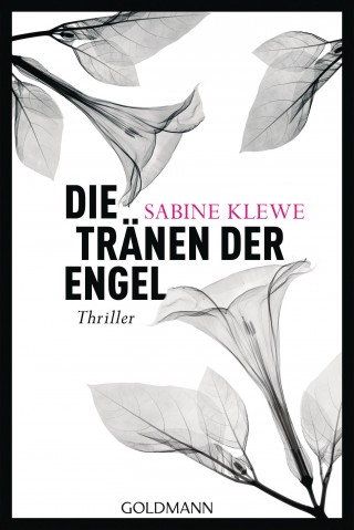 Sabine Klewe: Die Tränen der Engel