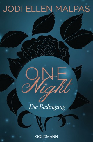 Jodi Ellen Malpas: One Night - Die Bedingung