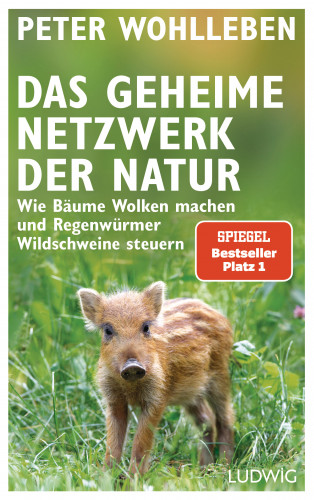 Peter Wohlleben: Das geheime Netzwerk der Natur