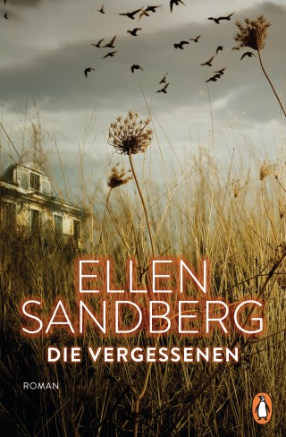 Ellen Sandberg: Die Vergessenen