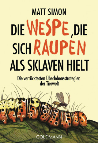 Matt Simon: Die Wespe, die sich Raupen als Sklaven hielt