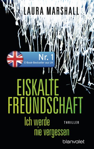 Laura Marshall: Eiskalte Freundschaft - Ich werde nie vergessen