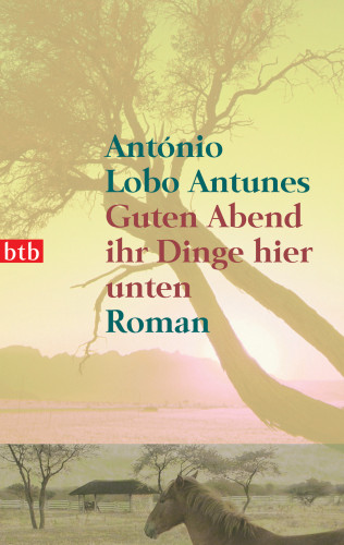 António Lobo Antunes: Guten Abend ihr Dinge hier unten