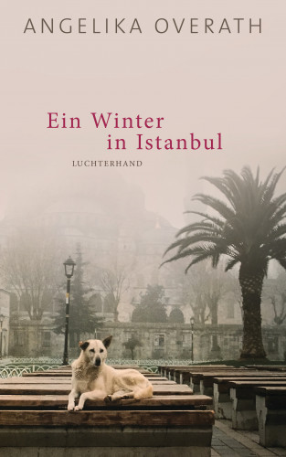 Angelika Overath: Ein Winter in Istanbul