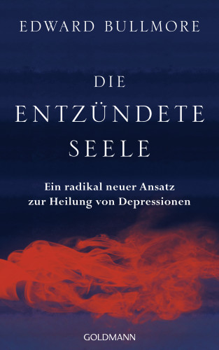 Edward Bullmore: Die entzündete Seele