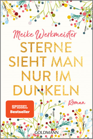 Meike Werkmeister: Sterne sieht man nur im Dunkeln