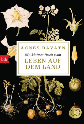 Agnes Ravatn: Ein kleines Buch vom Leben auf dem Land