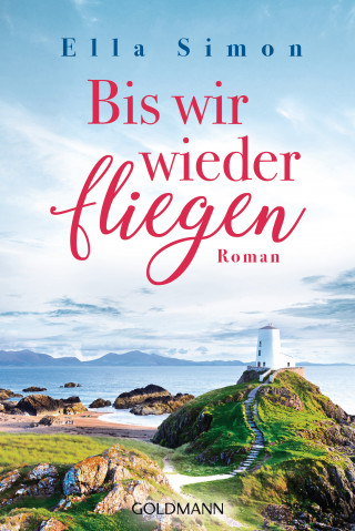 Ella Simon: Bis wir wieder fliegen