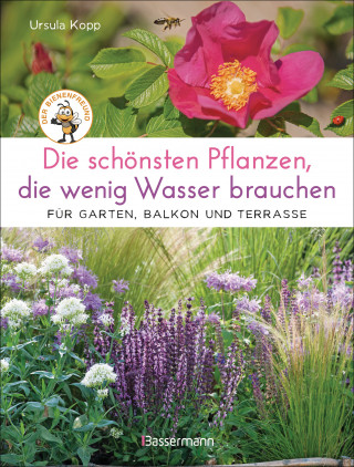 Ursula Kopp: Die schönsten Pflanzen, die wenig Wasser brauchen für Garten, Balkon und Terrasse - 66 trockenheitsverträgliche Stauden, Sträucher, Gräser und Blumen, die heiße Sommer garantiert überleben