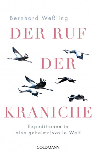 Bernhard Weßling: Der Ruf der Kraniche