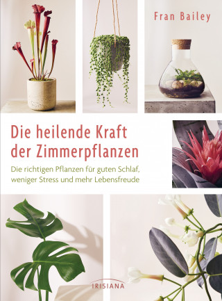 Fran Bailey: Die heilende Kraft der Zimmerpflanzen