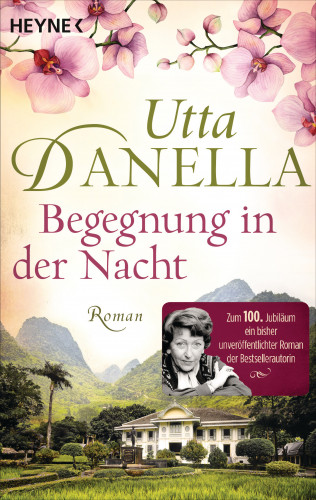 Utta Danella: Begegnung in der Nacht