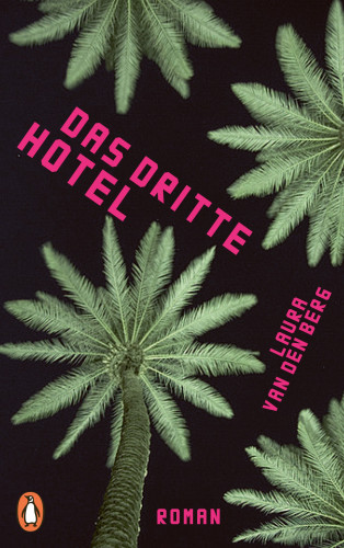 Laura van den Berg: Das dritte Hotel