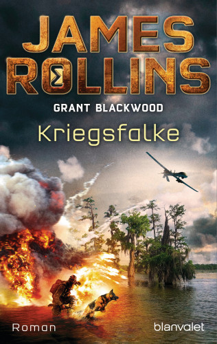 James Rollins: Kriegsfalke