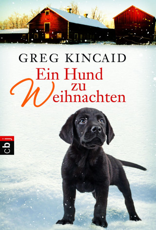 Greg Kincaid: Ein Hund zu Weihnachten