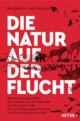 Benjamin von Brackel: Die Natur auf der Flucht