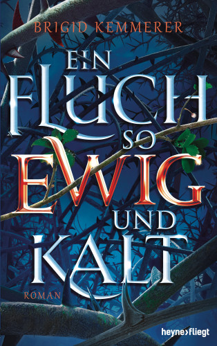 Brigid Kemmerer: Ein Fluch so ewig und kalt