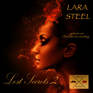 Lara Steel: Lost Secrets, 2 (ungekürzt)