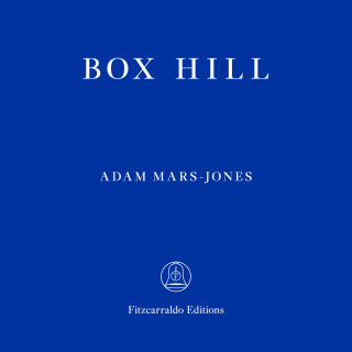 Adam Mars-Jones: Box Hill (unabridged)