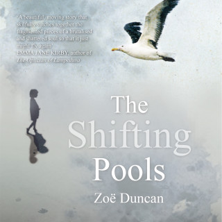 Zoe Duncan: The Shifting Pools (Unabridged)