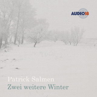 Patrick Salmen: Zwei weitere Winter (Gekürzt)