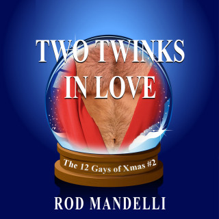 Rod Mandelli: Two Twinks In Love - 12 Gays of Xmas, book 2 (Unabridged)