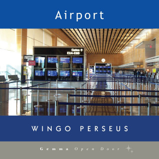 Wingo Perseus: Airport (Unabridged)