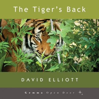 David Elliott: The Tiger's Back (Unabridged)