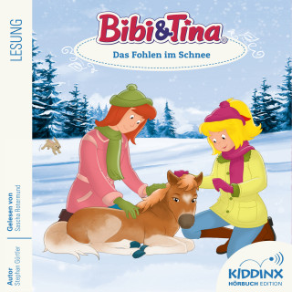 Stephan Gürtler: Das Fohlen im Schnee - Bibi & Tina - Hörbuch, Folge 9 (Ungekürzt)