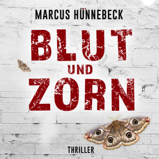 Marcus Hünnebeck: Blut und Zorn - Drosten und Sommer, Band 3 (ungekürzt)