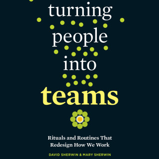 David Sherwin, Mary Sherwin: Turning People into Teams - Rituals and Routines That Redesign How We Work (Unabridged)