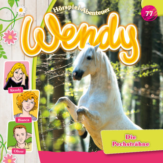 Dirk Petrick: Wendy, Folge 77: Die Pechsträhne