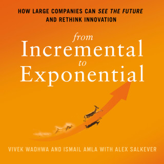 Vivek Wadhwa, Ismail Amla, Alex Salkever: From Incremental to Exponential - How Large Companies Can See the Future and Rethink Innovation (Unabridged)