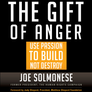 Joe Solmonese: The Gift of Anger - Use Passion to Build Not Destroy (Unabridged)