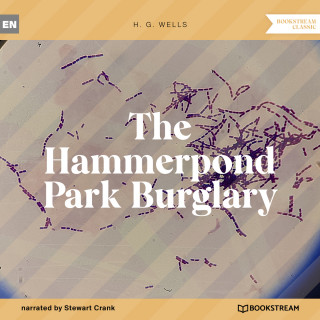 H. G. Wells: The Hammerpond Park Burglary (Unabridged)