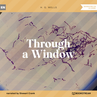 H. G. Wells: Through a Window (Unabridged)