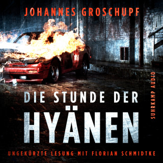 Johannes Groschupf: Die Stunde der Hyänen (Ungekürzt)
