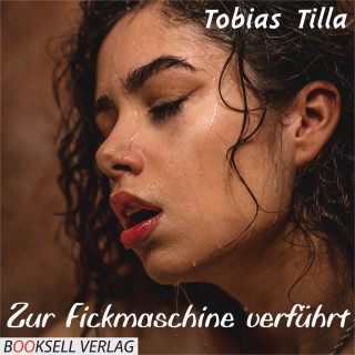 Tobias Tilla: Zur Fickmaschine verführt (Unabridged)