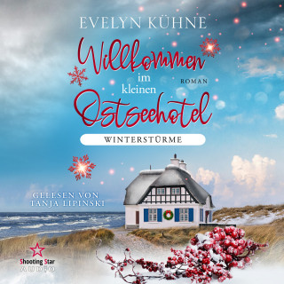 Evelyn Kühne: Winterstürme - Willkommen im kleinen Ostseehotel, Band 1 (ungekürzt)