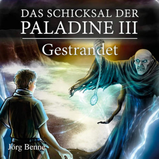 Jörg Benne: Gestrandet - Das Schicksal der Paladine, Band 3 (ungekürzt)